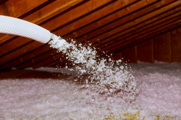 Best Blown-in Insulation in Citronelle, AL