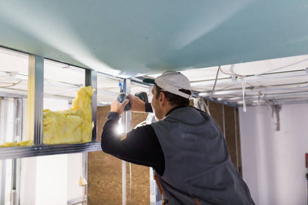 Best Insulation Maintenance and Repair in Citronelle, AL