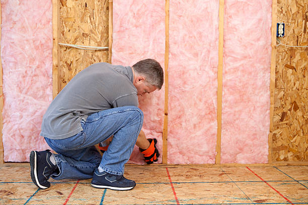 Best Spray Foam Insulation in Citronelle, AL