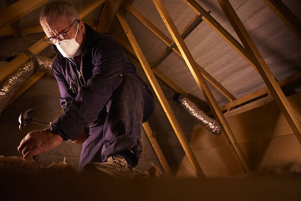 Types of Insulation We Offer in Citronelle, AL