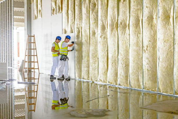 Best Eco-Friendly Insulation in Citronelle, AL